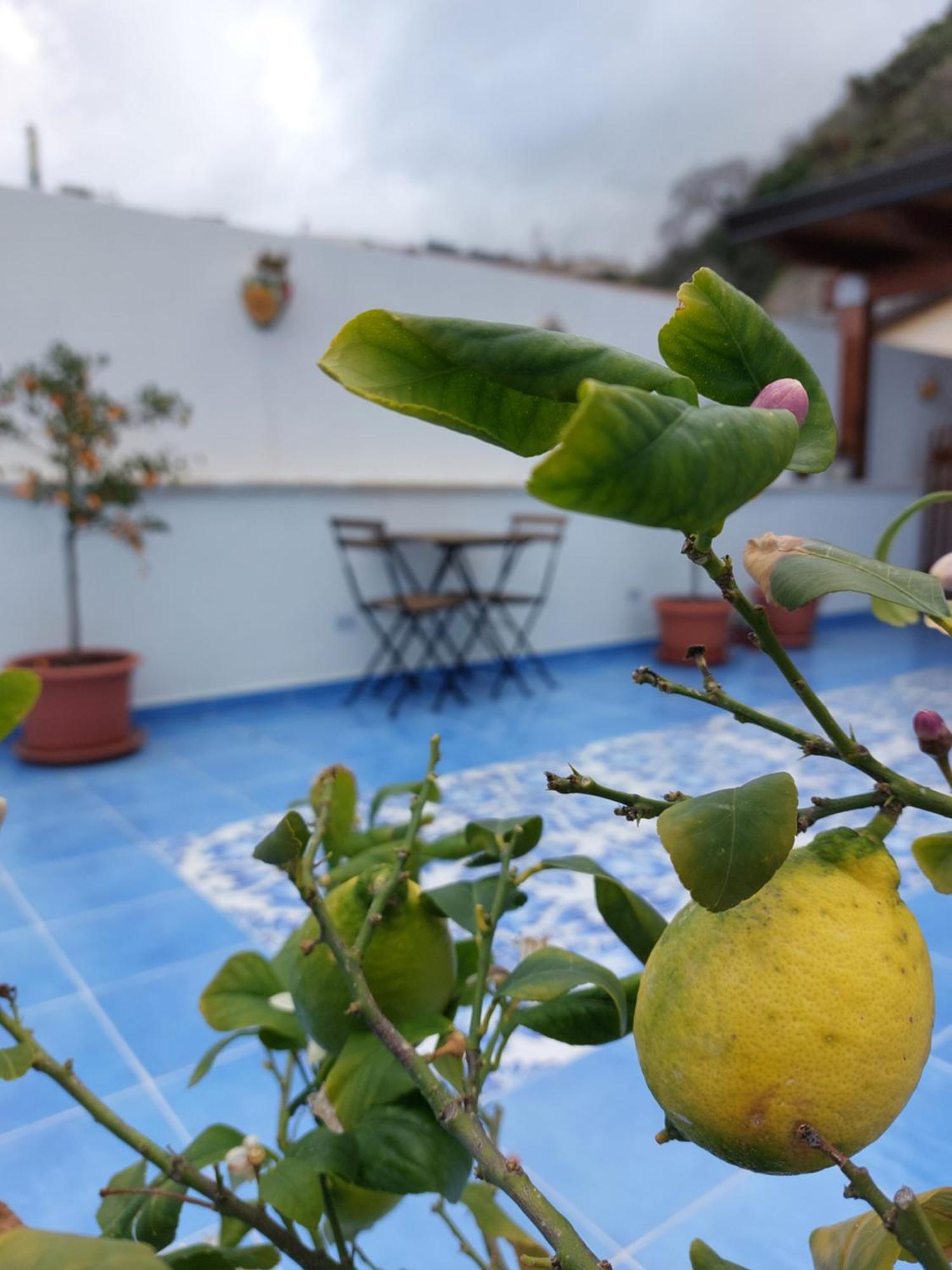 B&B La Filanda Scilla Exterior photo